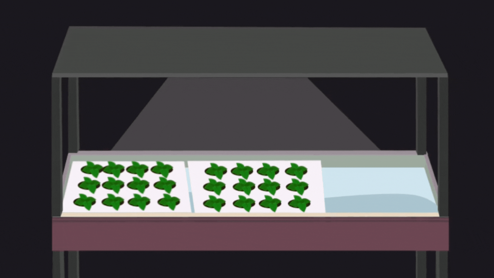 Gif of harvest video